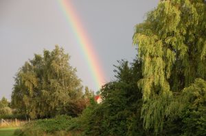 Regenbogen Görmin